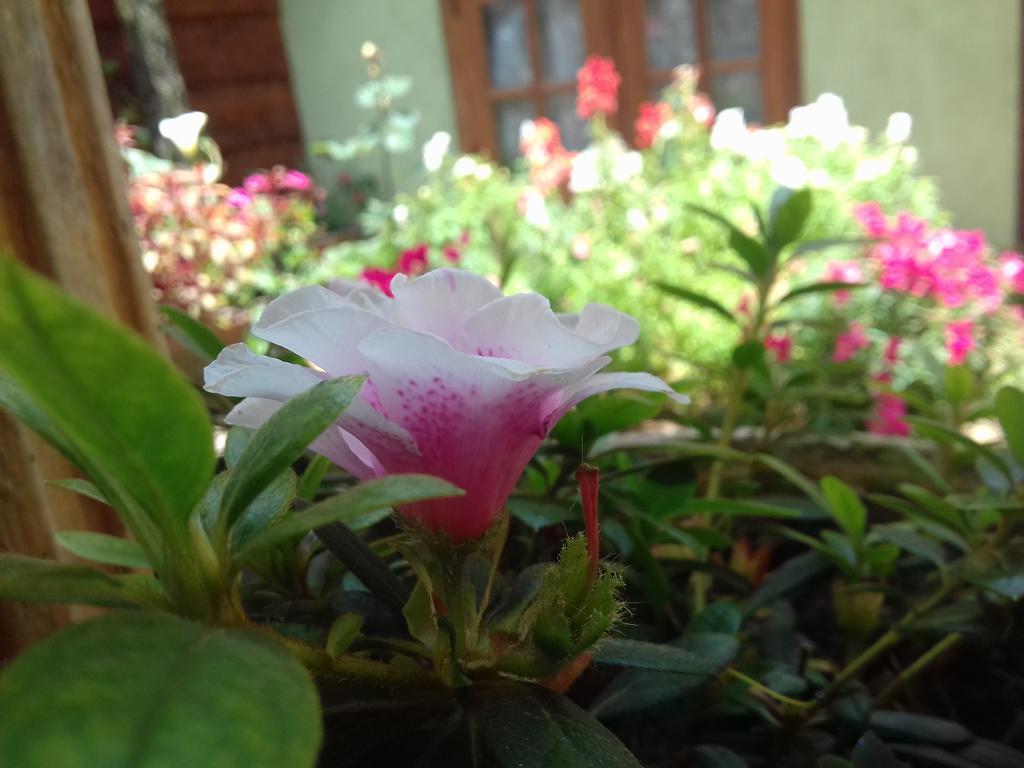 Moon Plain Inn Nuwara Eliya Dış mekan fotoğraf